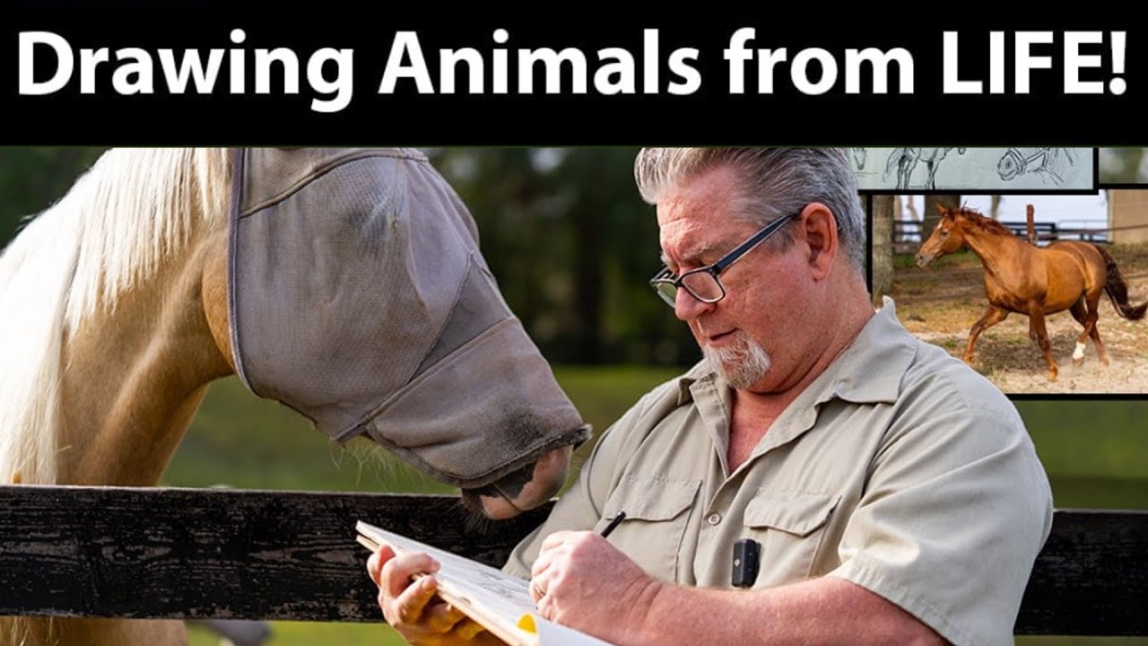 Drawing Animals From Life Sneak Peek - Drawing Horses On Location