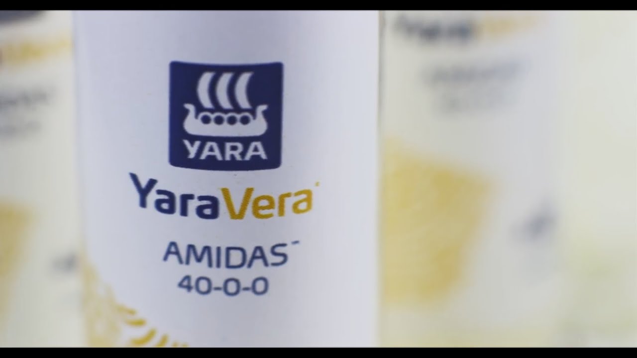 Nitrogen and Sulfur Synergies - Best way to apply them both