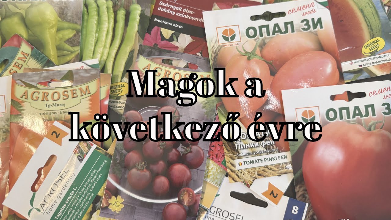 Ep. 390.: Magok a következő évre