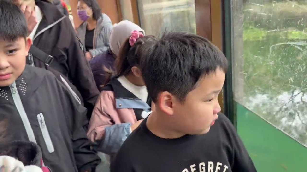 2026年新年去動物園