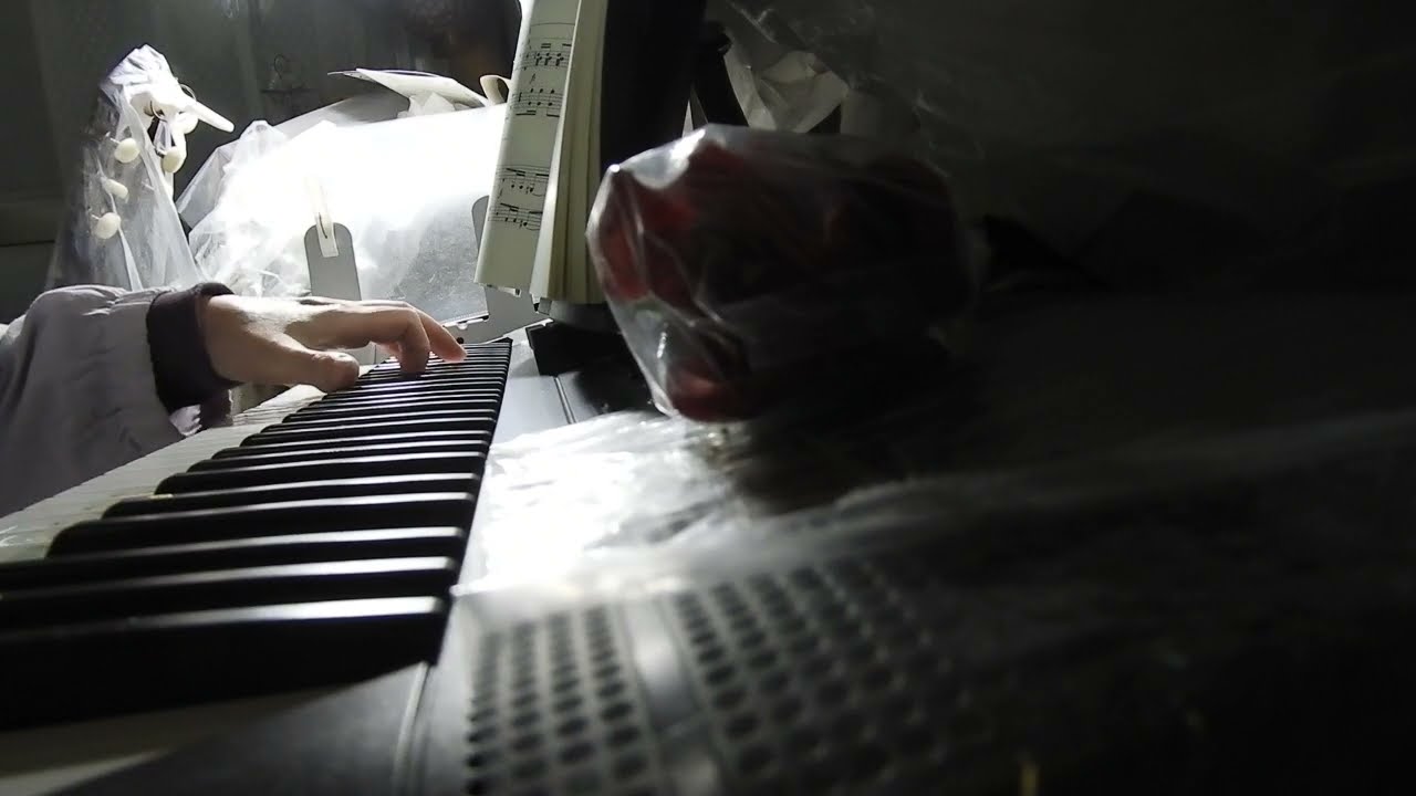 軍隊行進曲　Military march.　　DSCN1296