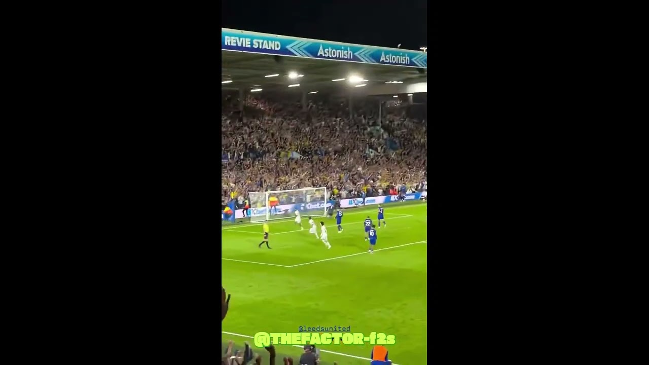 Lucas Nemcha`s decisive goal