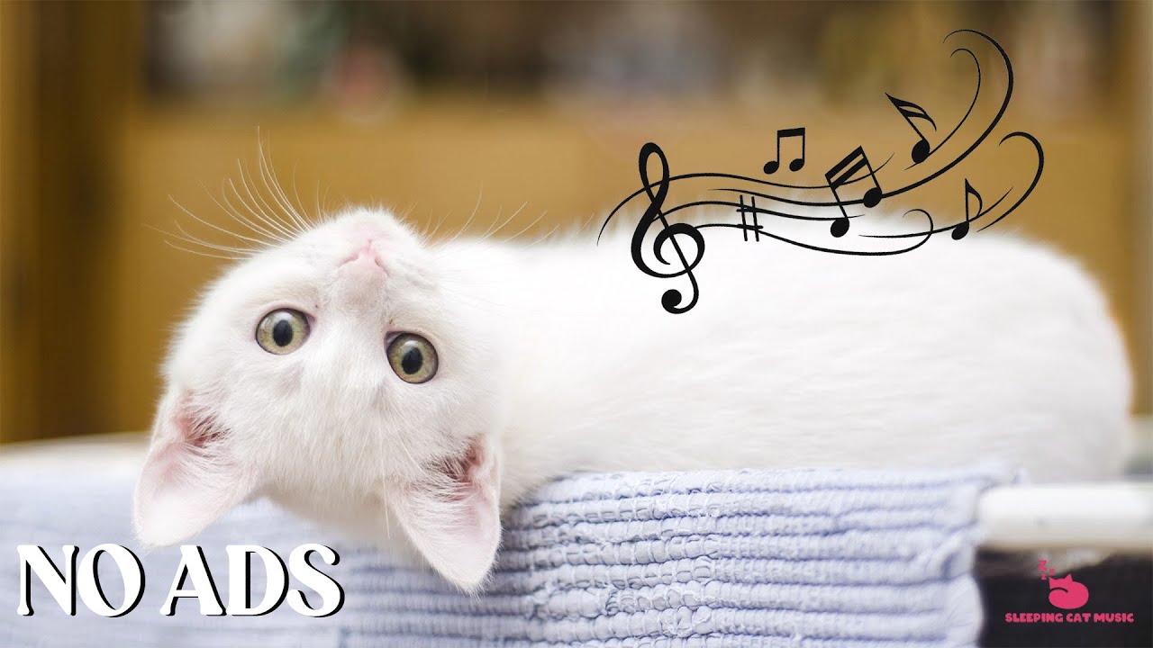 12 Hours Of Sleep Music For Cat 🐾 Soft Melodies for Deep Relaxation and Sleeping Cats