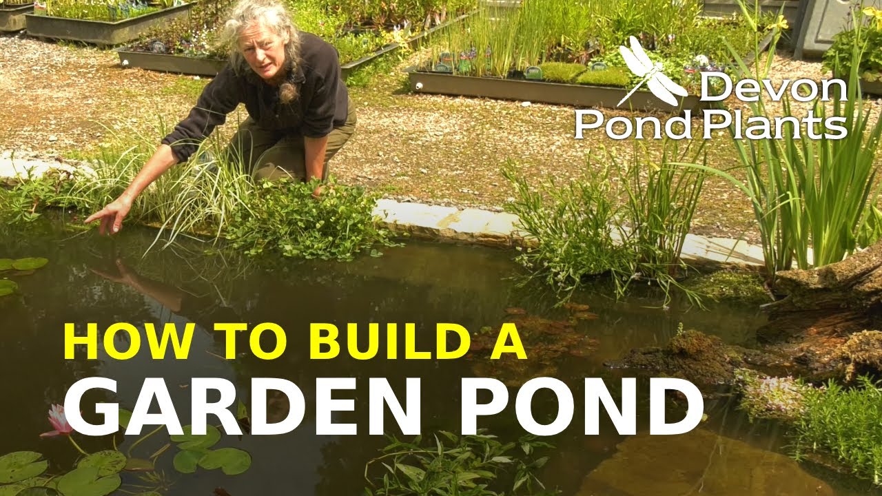 How to Build a Garden Pond (Part 4) - Choosing And Planting Pond Plants