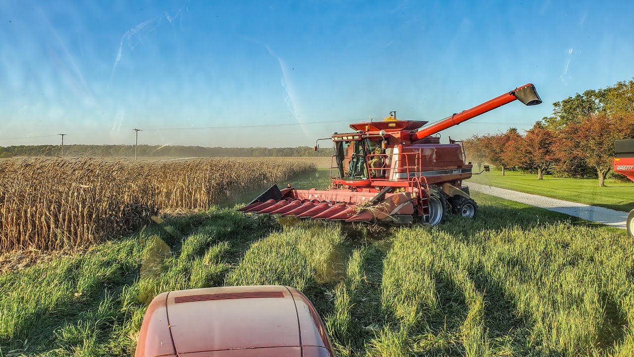 Harvesting Down Corn In The Mud | Illinois Farm Vlog #55