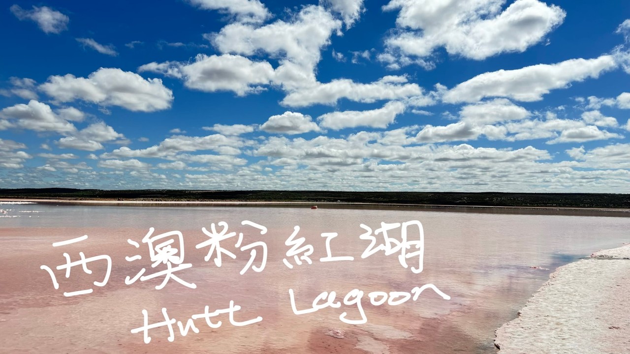 [極夢幻］西澳洲粉紅湖 Hutt Lagoon! 航拍