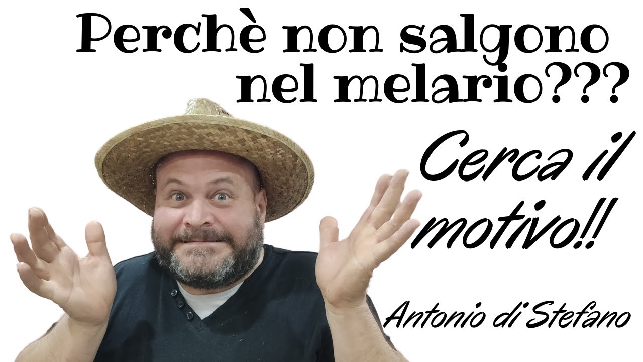 Perch&egrave; le Api non salgono al melario? quali sono i problemi o cause? Vediamo!!
