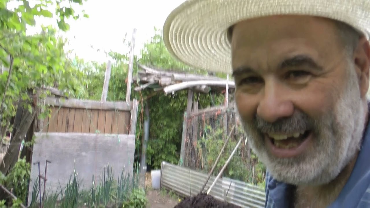Weed a garden bed a day to keep the doctor away