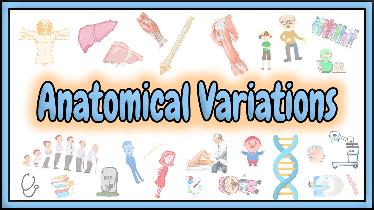 38. Anatomical Variations ||  Some of the strangest variations you'll ever see