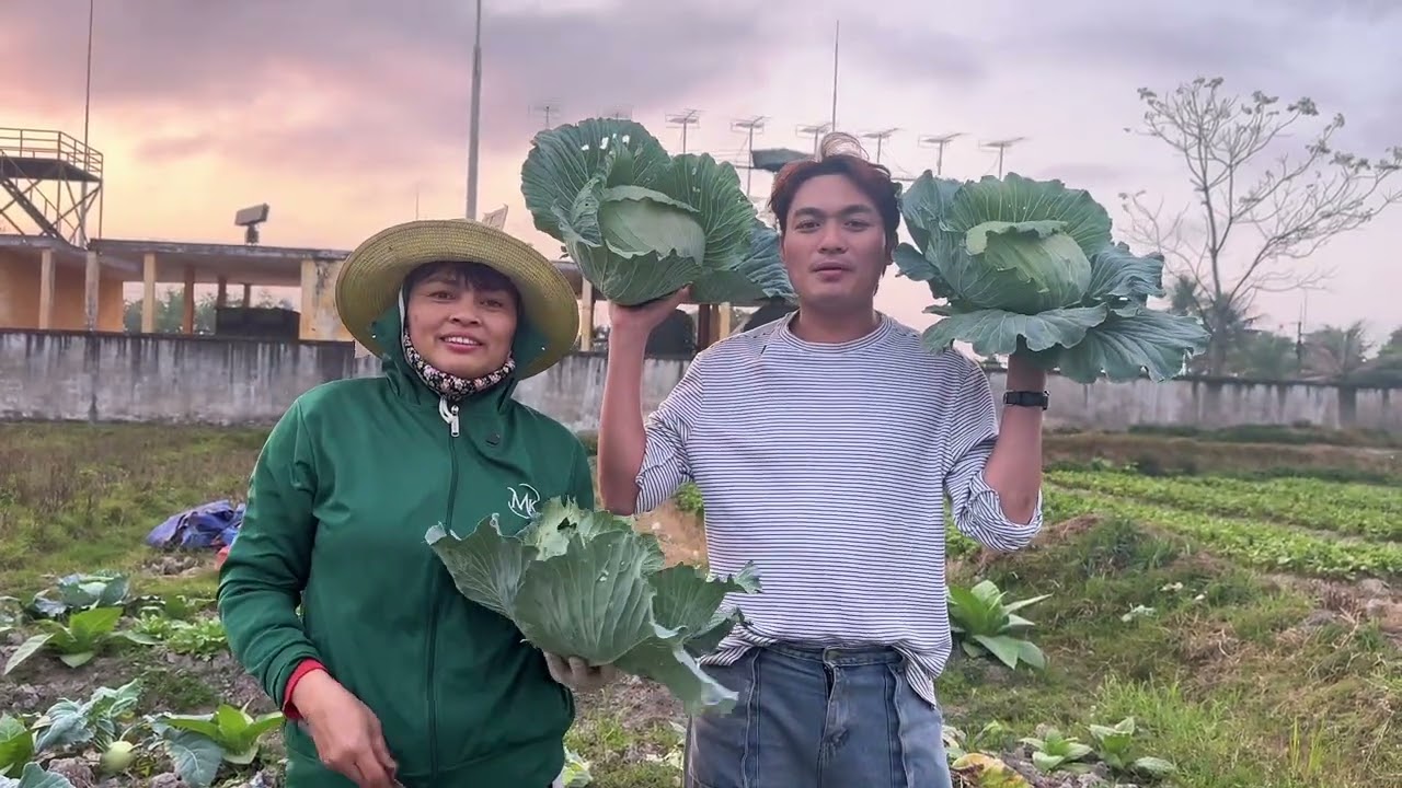 Cùng Mẹ Hương  ra thăm Vườn Rau “ Nuôi Lớn Thanh Chương “ và Trang trí Nhà Cửa Dịp Cận Tết