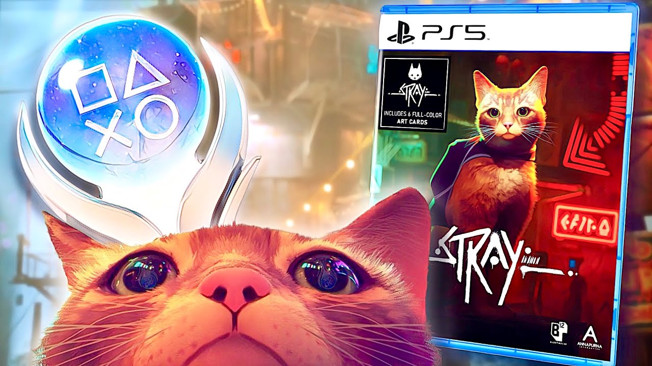Je Platine STRAY aussi VITE que POSSIBLE ! (Oui, en un seul run. Enfin presque…)