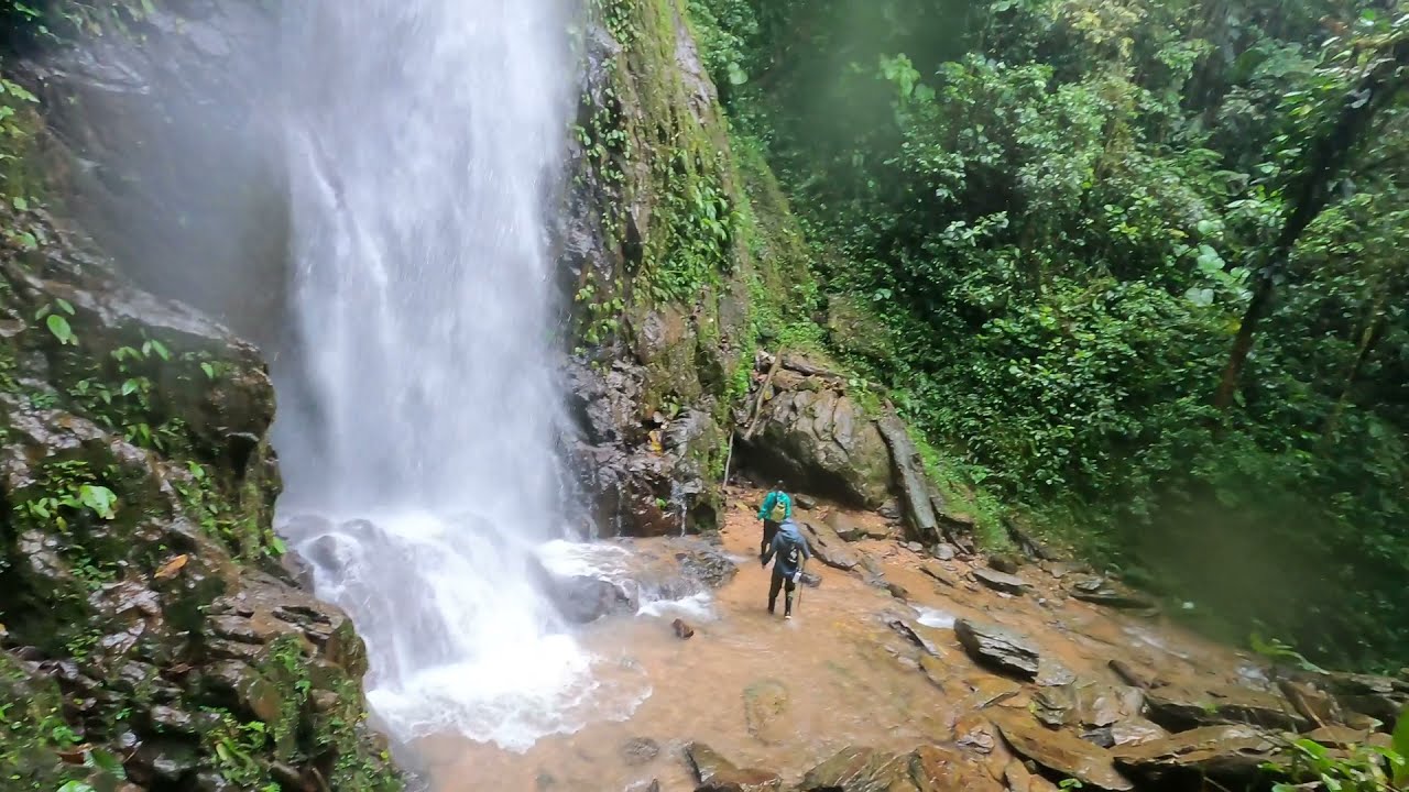 Choco Rainforest - Mashpi Lodge