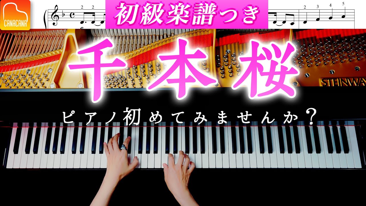 千本桜《初級楽譜つき》簡単ピアノカバー - 黒うさP - CANACANA