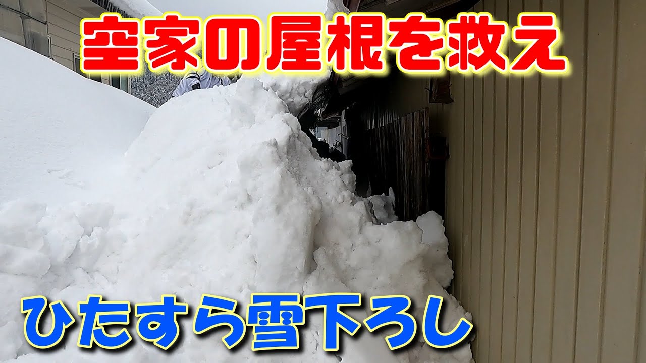 悲鳴を上げる積雪1m50の空き家の雪下ろし
