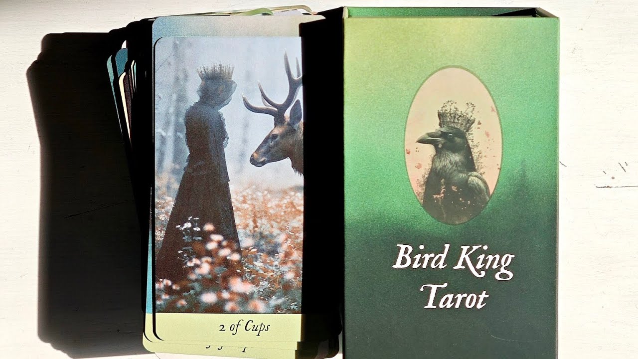 Великолепное, призрачное Bird King Tarot - Таро Птичьего Короля!🐦‍⬛🪶🐦