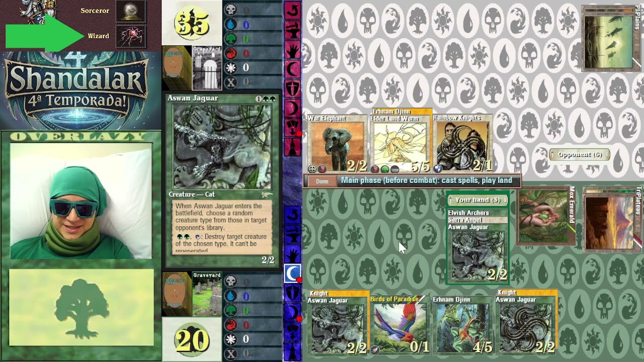 MTG Shandalar! WIZARD verde 10 (FIM)