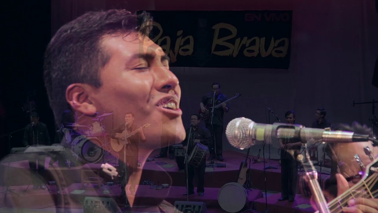 QOLI WAWA. Paja Brava en vivo 2016