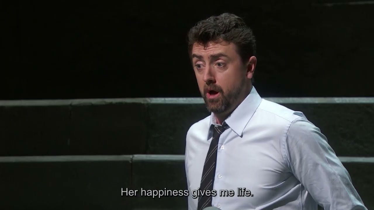 Don Giovanni: “Dalla sua pace”