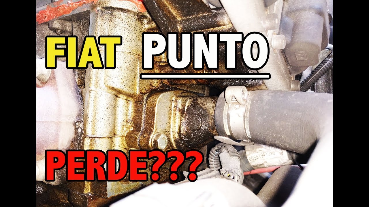 AUTO PERDE OLIO - COME RIPARARLA DA SOLI!!! Guida Completa