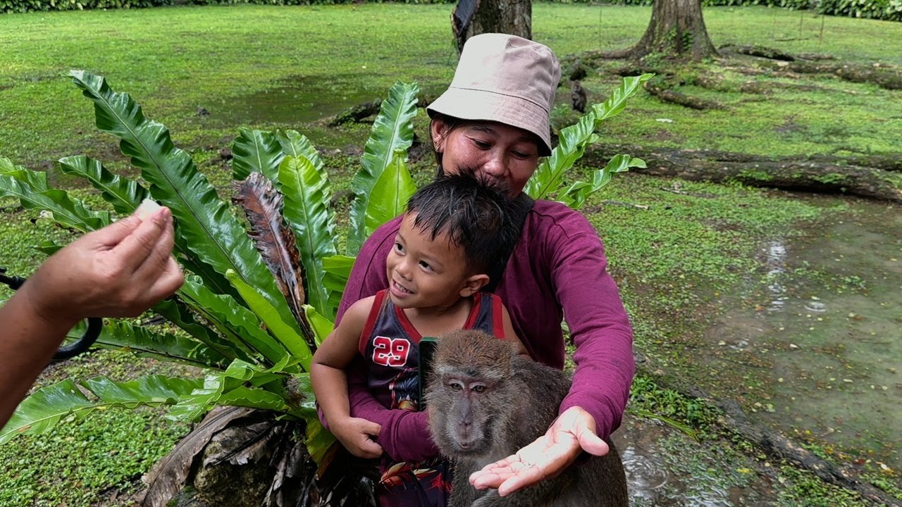 When it Comes to Feeding Primates, Dunkoy Does Not Monkey Around!
