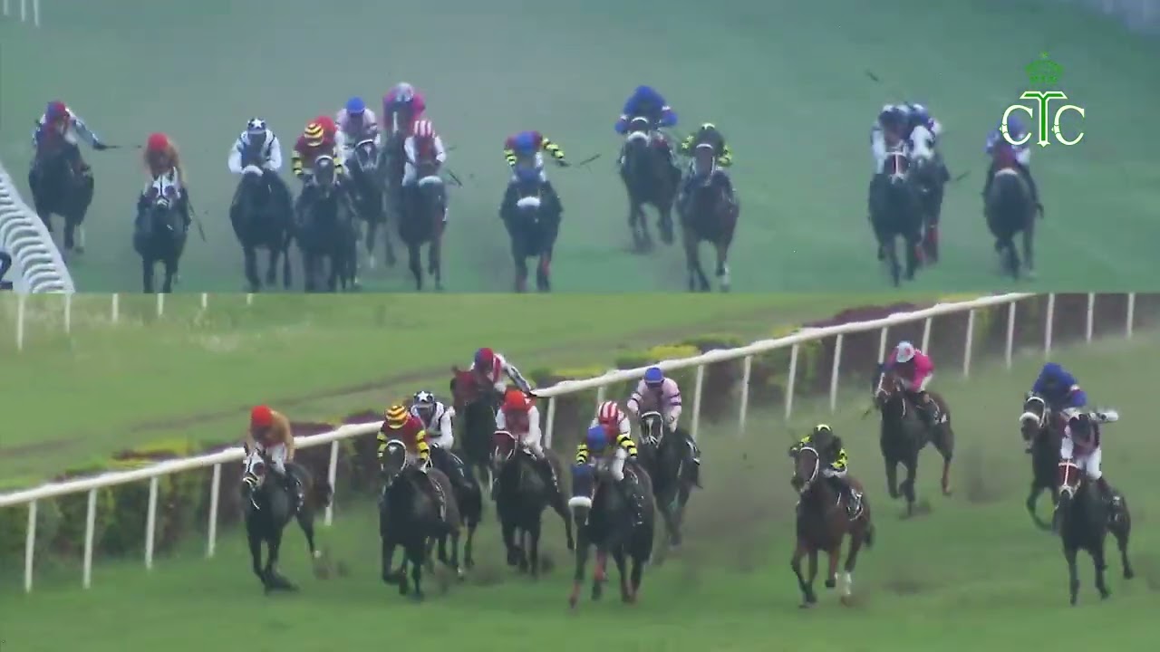 ГИММЛЕР побеждает в турнире The Cupid Handicap Div-2.