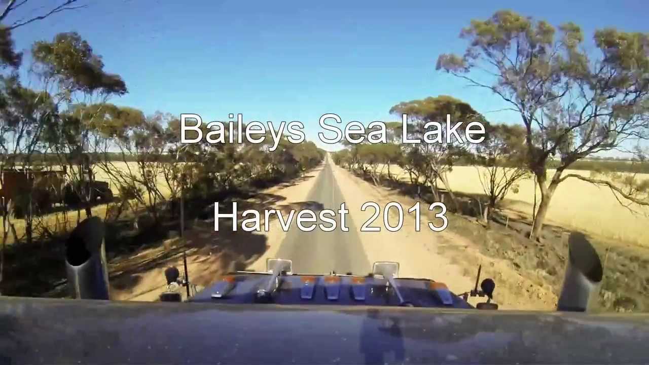 Baileys Sea Lake Harvest 2013, Northern Mallee, Victoria, Australia.