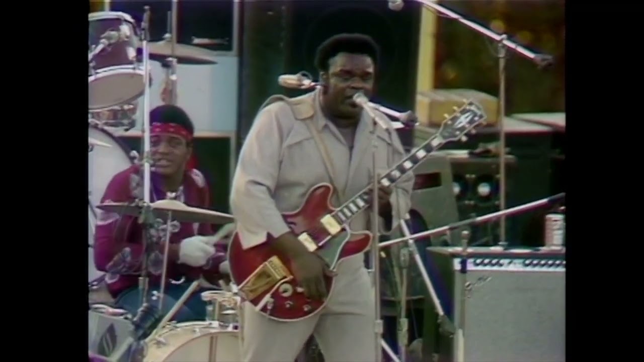 I'm In Trouble - Freddie King