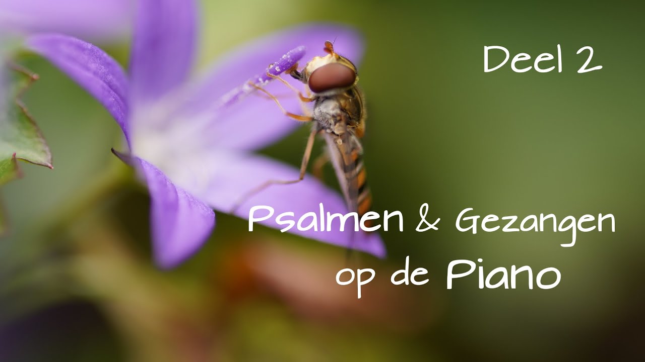 Psalmen & Gezangen op de piano - Deel 2