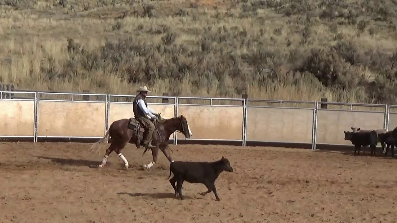 MAMAS TWO TIMING CAT