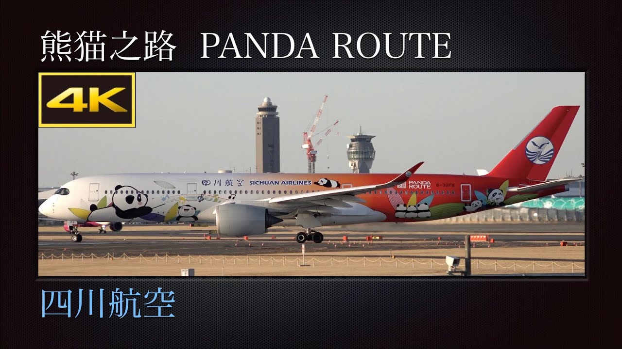 4K 日本初飛来 : 夕日に染まる冬の成田国際空港を離陸する、特別塗装機(熊猫之路  PANDA ROUTE : パンダルート)  四川航空  Airbus A350-941XWB  B-32F8