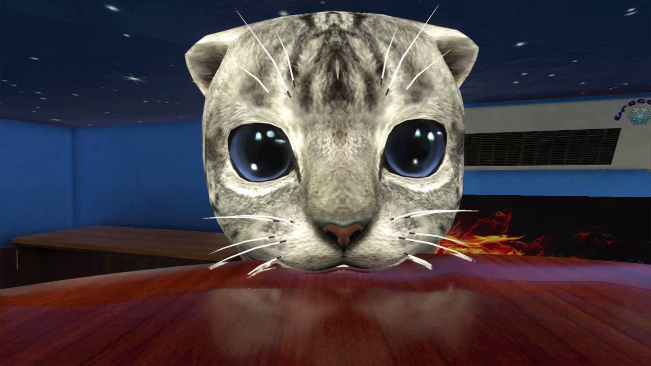 Kitty Craft