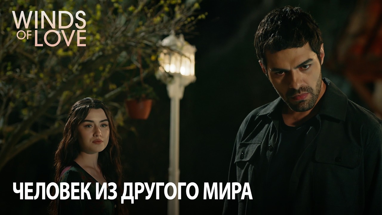 Никаких «мы» не существует! | Ветреный холм 140. раздел