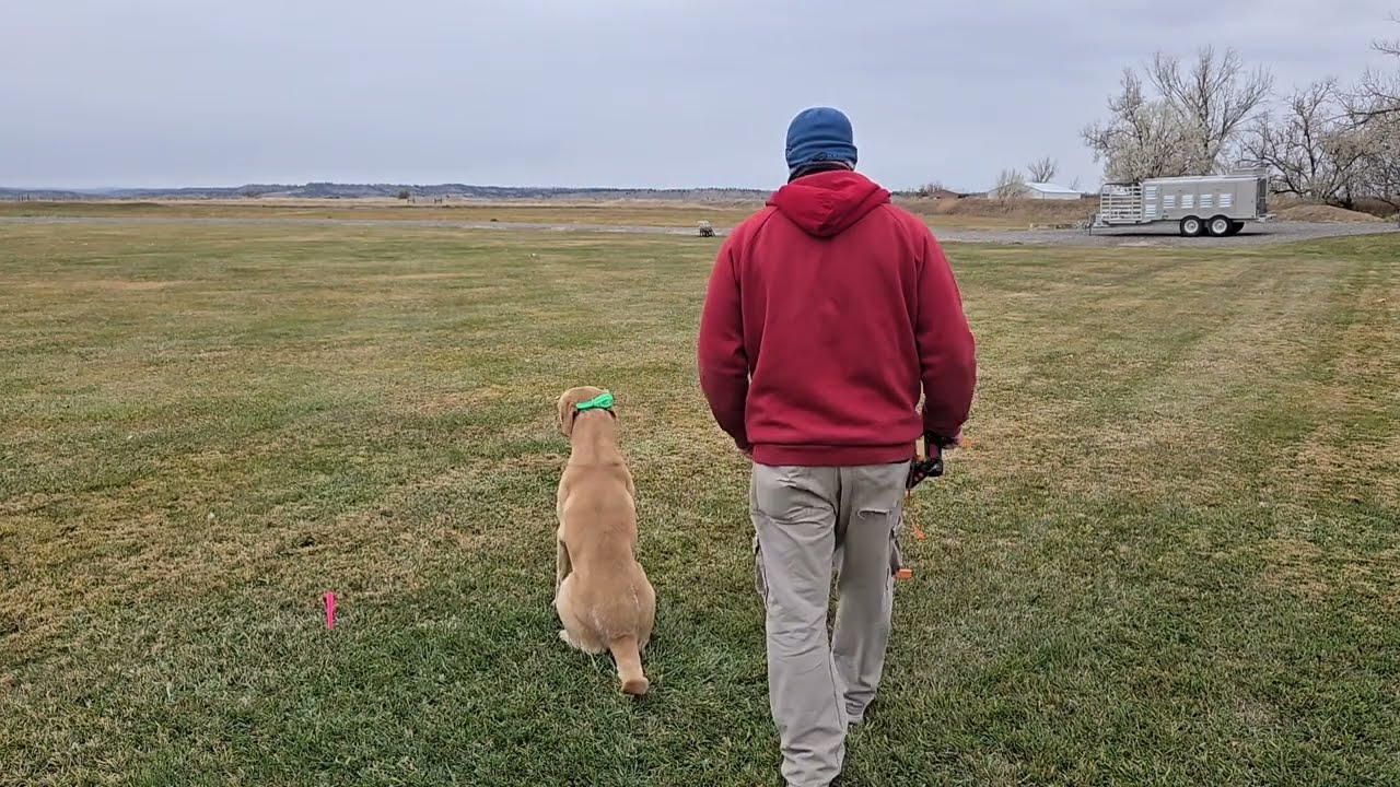 Teaching  the walk up, using the Versa Launcher