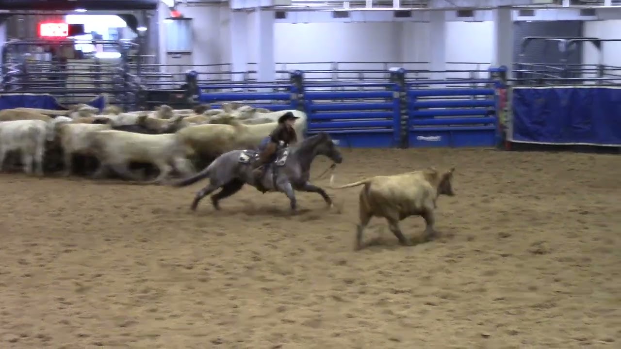 Jan 17 2026  - Bell County CHA - Youth - L A LADIE - Josey Sikorski Bell  -Score 72.5