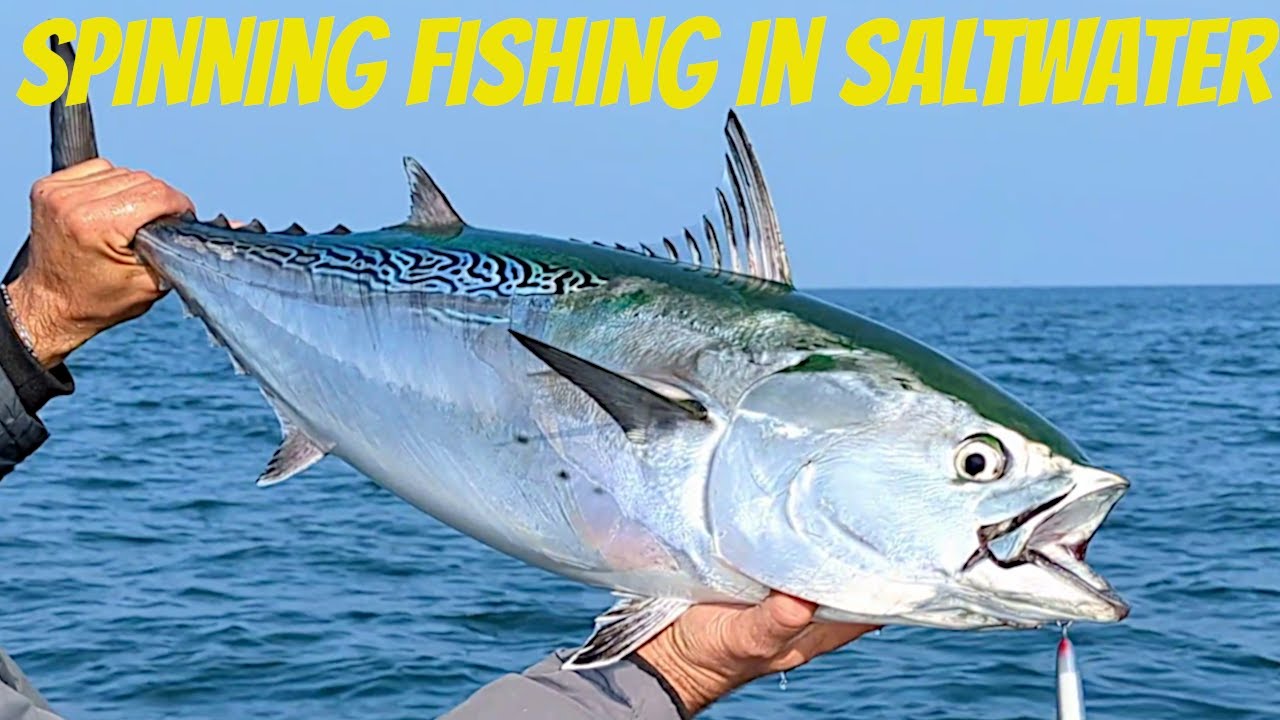 Pescare in mare dalla barca - Pesca a spinning nel mare Adriatico