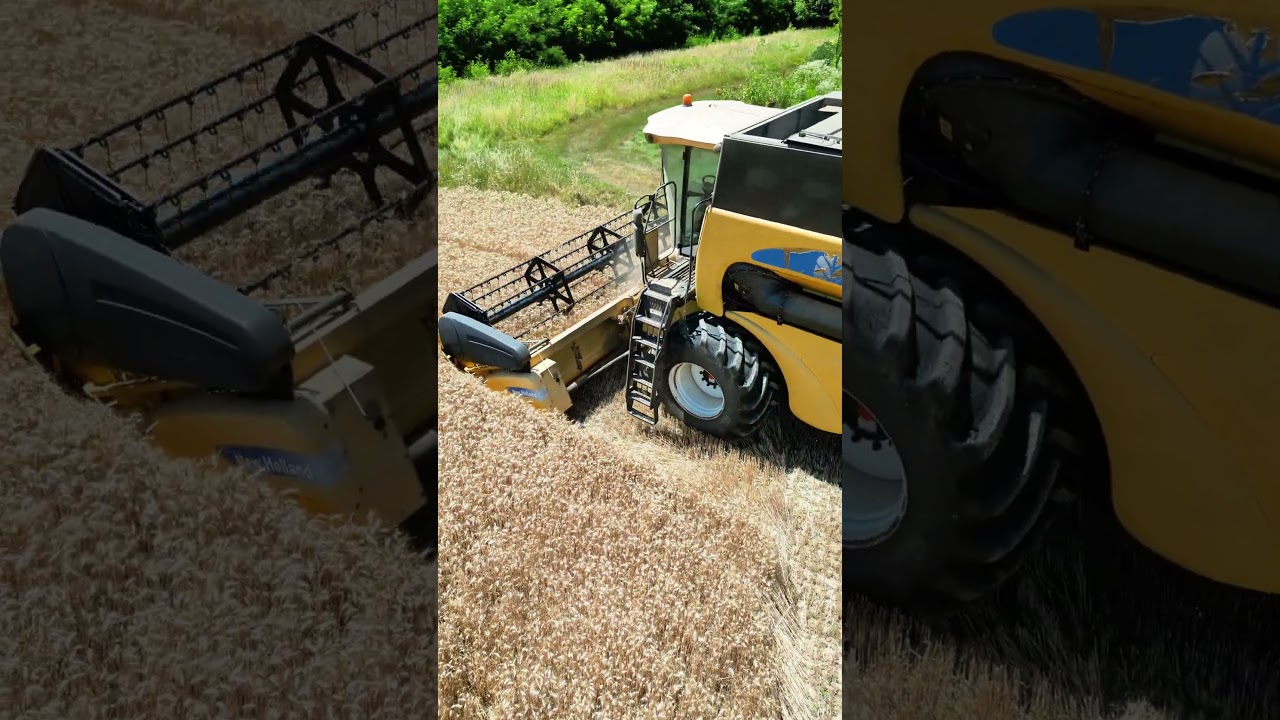 Harvest Time with New Holland 🚜🌾 #newholland #harvest #farmlife