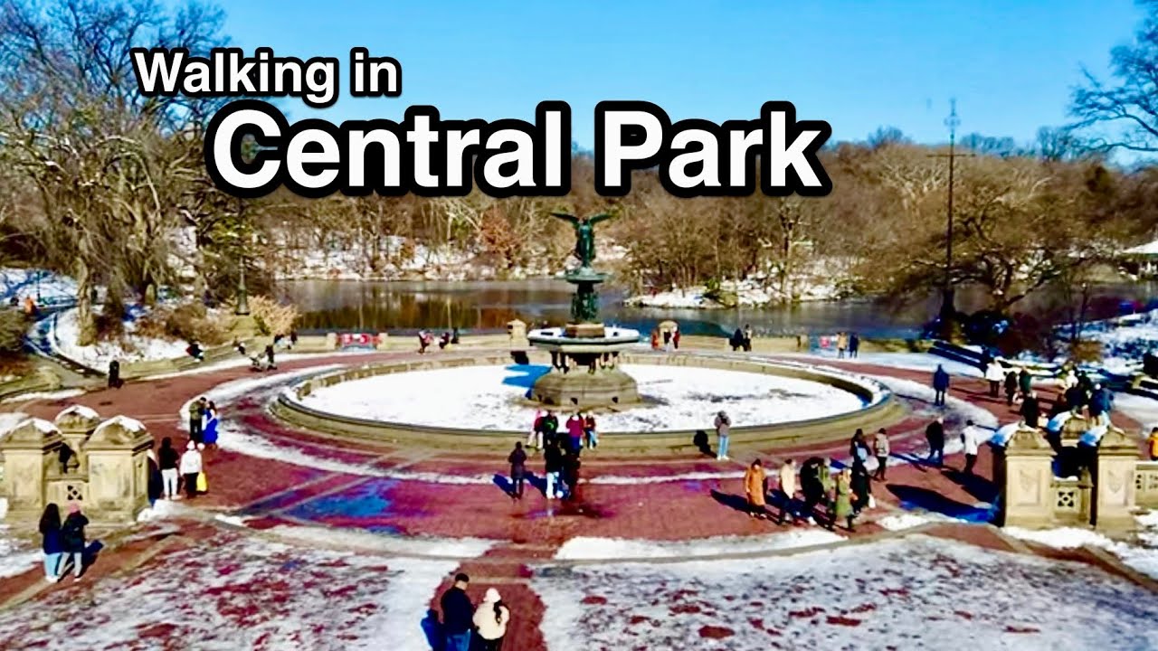New York City | Walking in Central Park