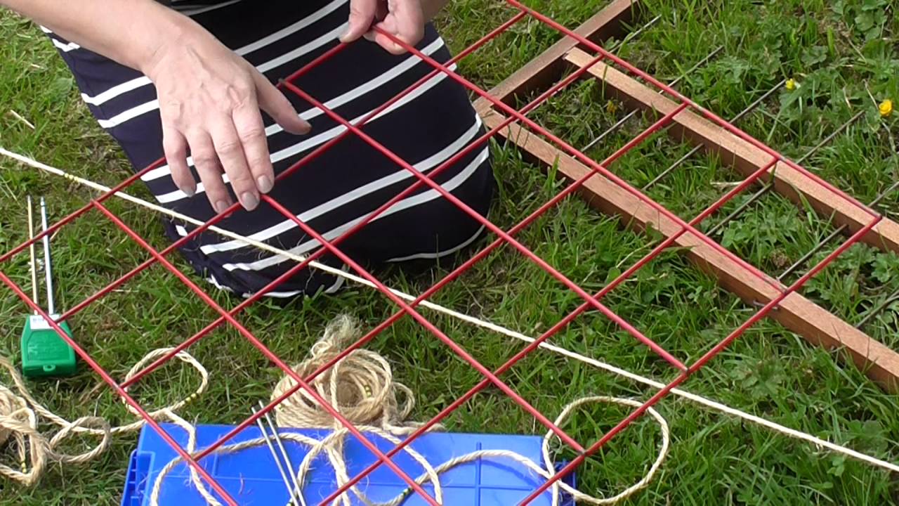 Transect, Quadrats and Percentage  Cover to investigate the Distribution of Clover.