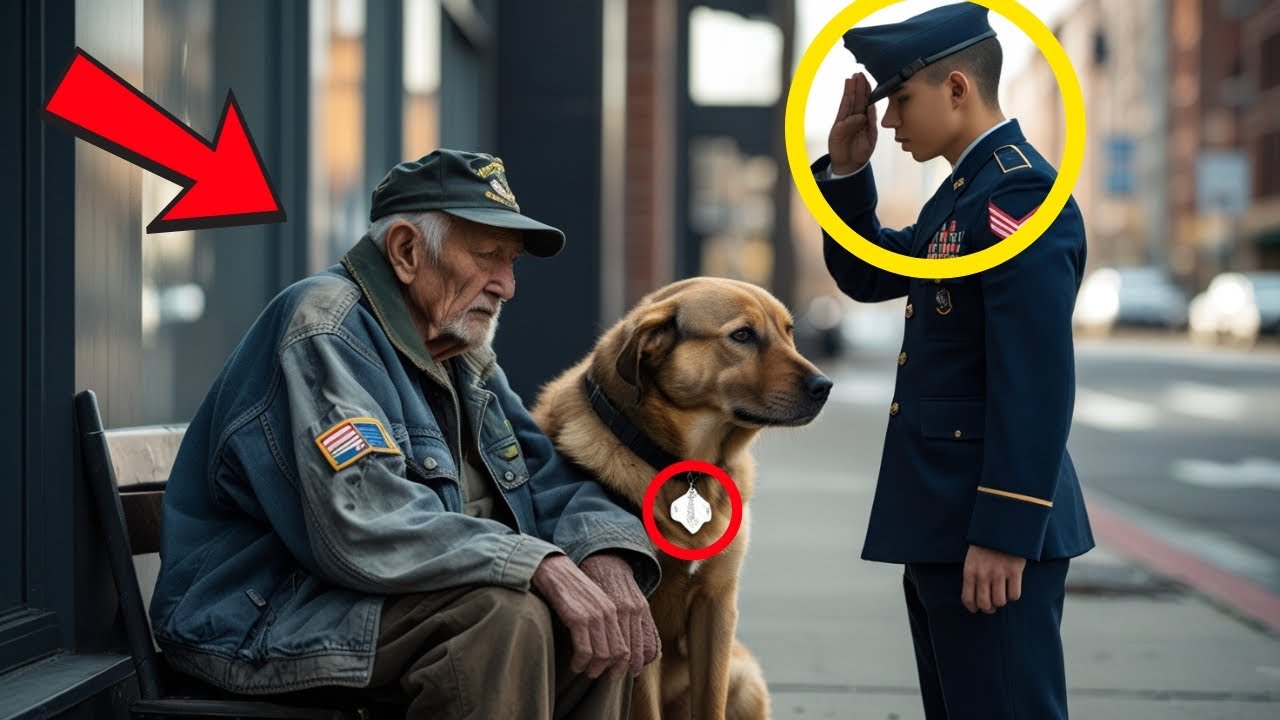 Der Veteran bettelt mit Hund – ein Soldat sieht das Abzeichen und salutiert