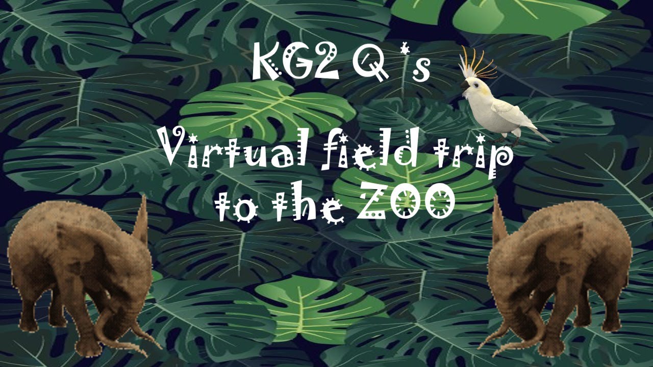 KG2 Q's  Virtual field trip to the zoo