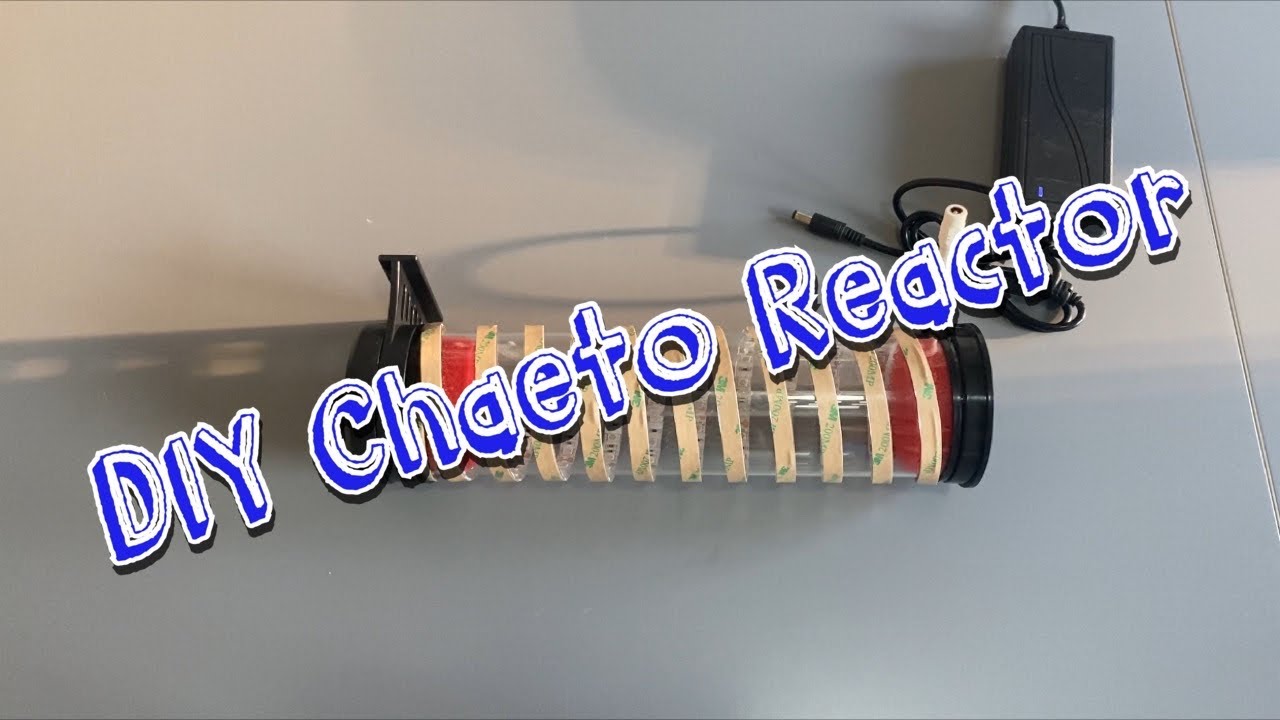 Waterbox AIO Nano Reef Tank Build | Ep. 26 | DIY Chaeto Reactor
