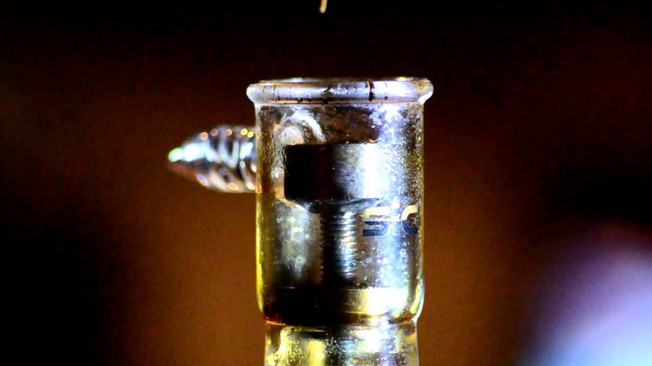 snake dab