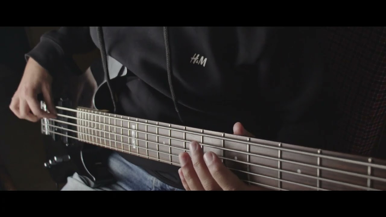 Blitzkrieg Bop - The Ramones ( bass cover) #bass #punkrock