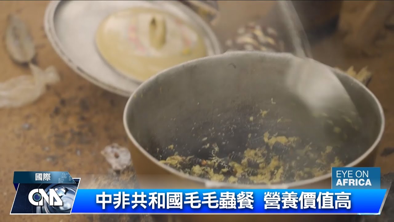 中非共和國毛毛蟲餐 營養價值高｜中央社影音新聞