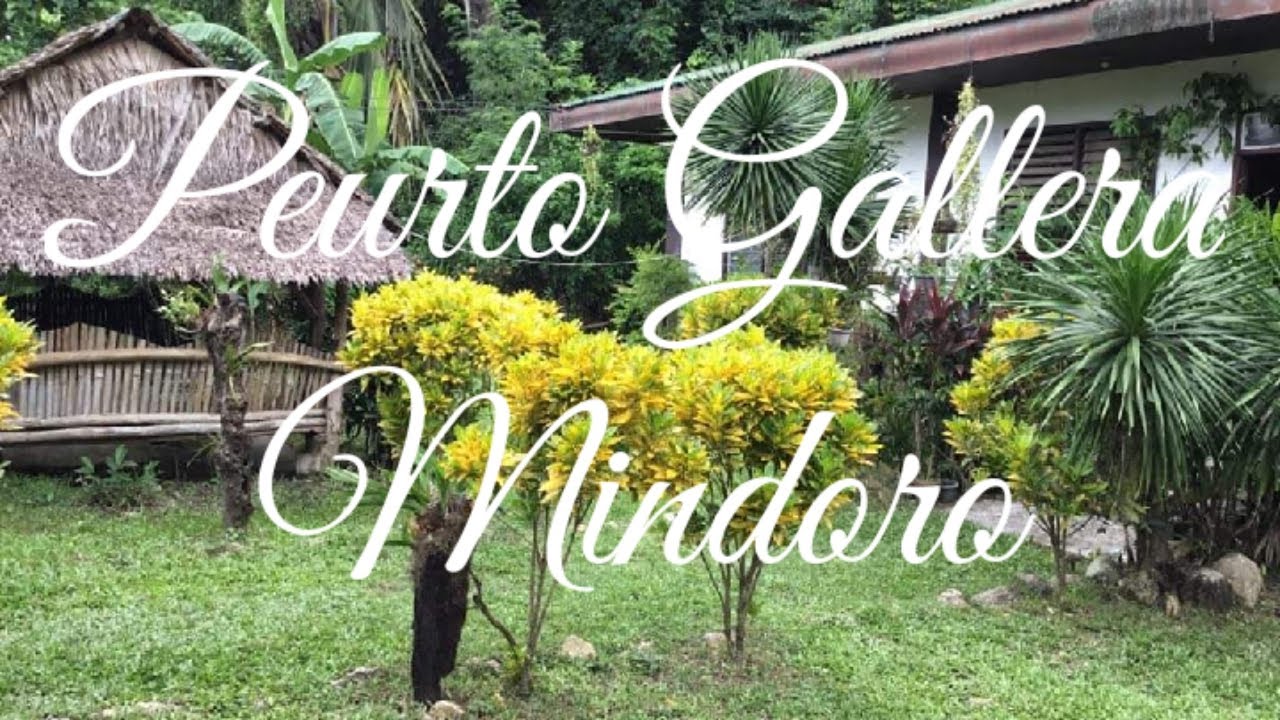 The view /In Puerto Gallera Mindoro nice view of nature