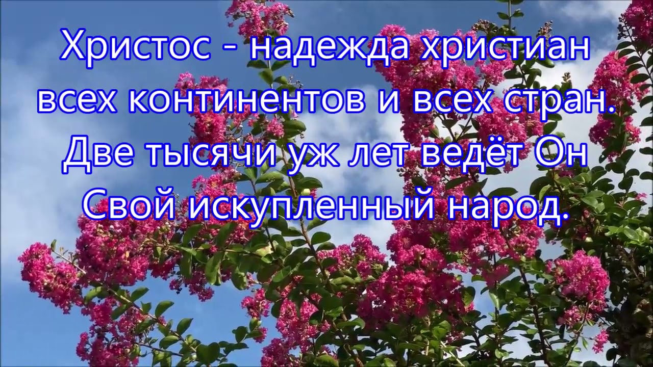 Христос  -  надежда тех сердец. Исполняет семья Ларионовых.