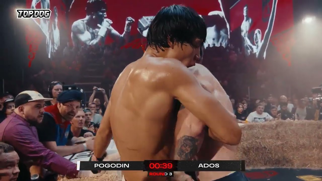 Best Fight of TOPDOG #TDFC 16 | Pogodin vs Ados, Molodoy vs Eastern | Strongest Fighters of Topdog