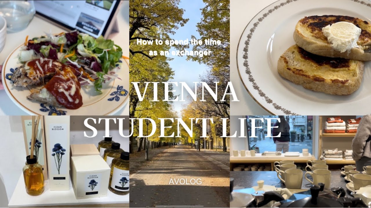 Vlog. 毎日が宝物だったウィーンでの日々🇦🇹　一人暮らし/ヨーロッパ/austria /勉強/日常/vienna/🌱