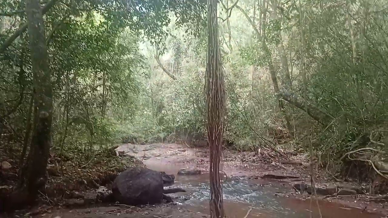 Recorrido por un arroyo