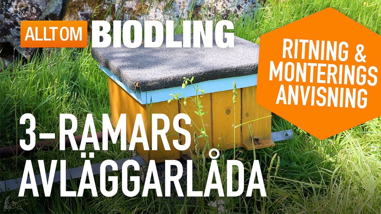 3-ramars avläggarlåda | Ritning & montering | Biodling